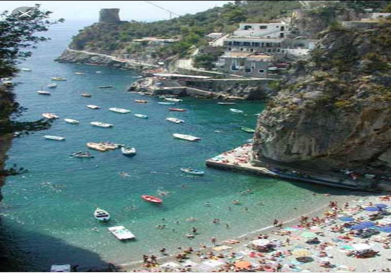 La Limonaia E La Praia Praiano Exteriör bild