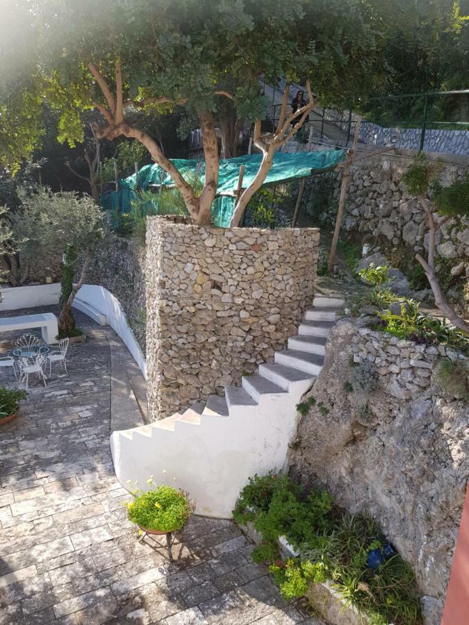 La Limonaia E La Praia Praiano Exteriör bild